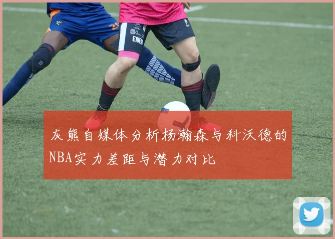 灰熊自媒体分析杨瀚森与科沃德的NBA实力差距与潜力对比