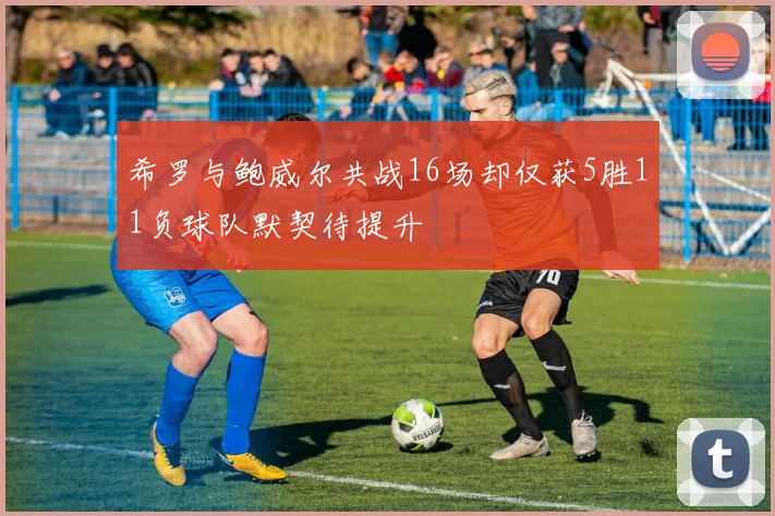 希罗与鲍威尔共战16场却仅获5胜11负球队默契待提升